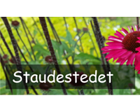 Staudestedet